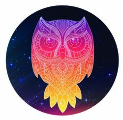 Наклейки Night owl sticker
