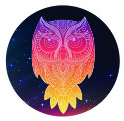   Night owl sticker