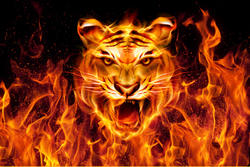 Наклейки Огненной тигр