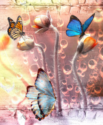    Бабочки и бутоны цветов