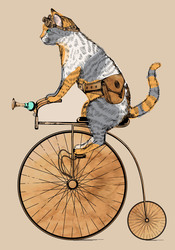 Наклейки Кот на велосипеде