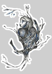    Owl print 