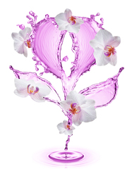 Наклейки Нежная орхидея из воды