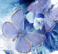 Наклейки Синие бабочки
