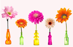 Наклейки Цветы в ярких бутылках