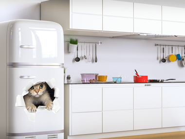 Наклейка Кот в холодильнике