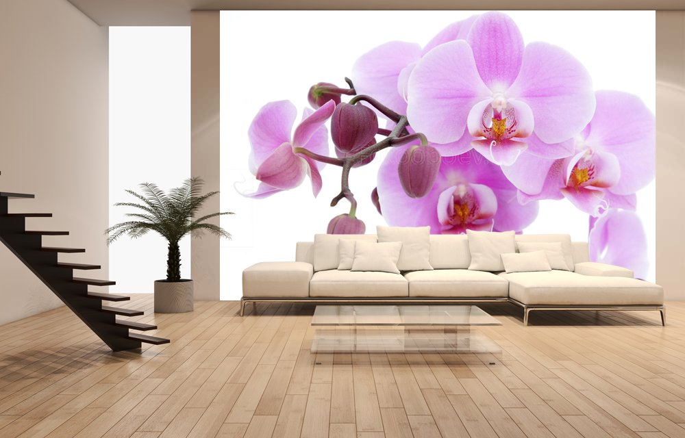 Фотообои орхидеи в интерьере кухни (34 фото)