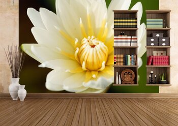 Фотообои Photo-05051040