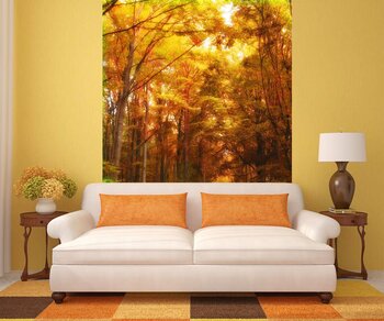 Фотообои на стену Осенние краски 