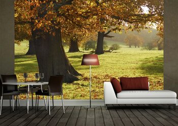 Фотообои на стену Эйфелева башня в Париже