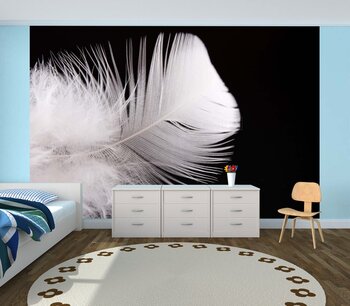 Фотообои на стену photo-21100901