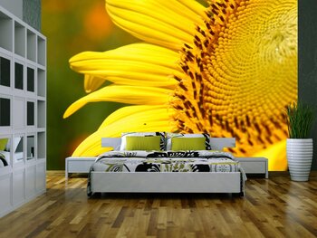 Фотообои Photo-05051042