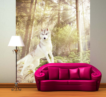 Фотообои Белоснежный волк