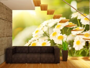 Фотообои на стену flow15041032