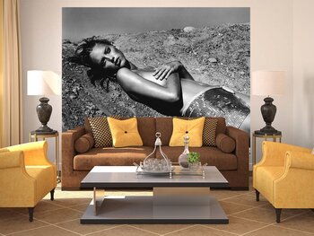 Фотообои на стену sens-13030932