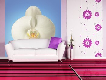 Фотообои на стену flow15041032