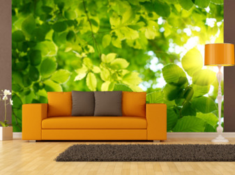 Фотообои Времена года 71017