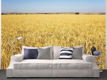 Фотообои Огромное пшеничное поле