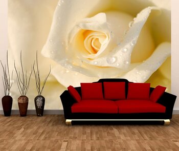 Фотообои на стену Акварельные розы