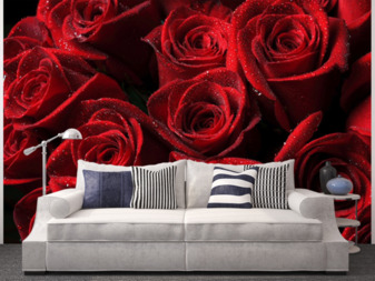 Фотообои Цветы 14673