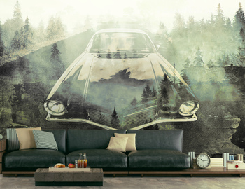 Фотообои Retro sport car