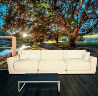 Фотообои Пейзажи 2610