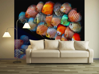 Фотообои Водный мир 36450