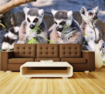 Фотообои Лемуры 48385