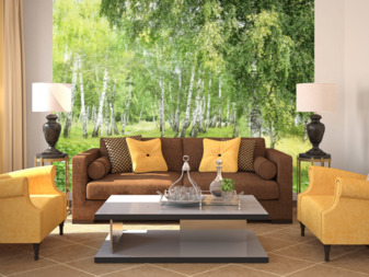 Фотообои Парки и сады 67062