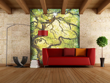 Фотообои на стену Бамбуковая роща