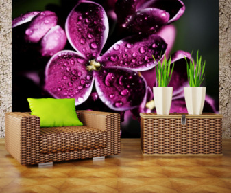 Фотообои Цветы 3849