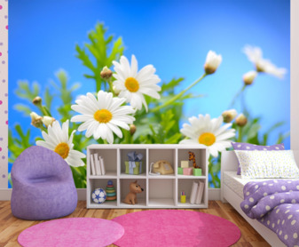 Фотообои Цветы 68187