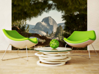 Фотообои зима 63094