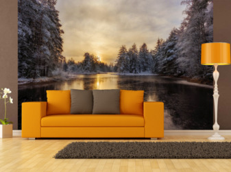 Фотообои зима 63095